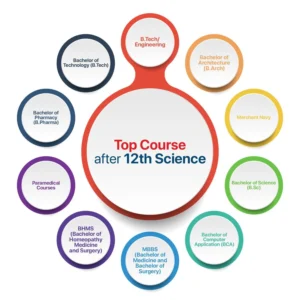 Best Courses After 12th